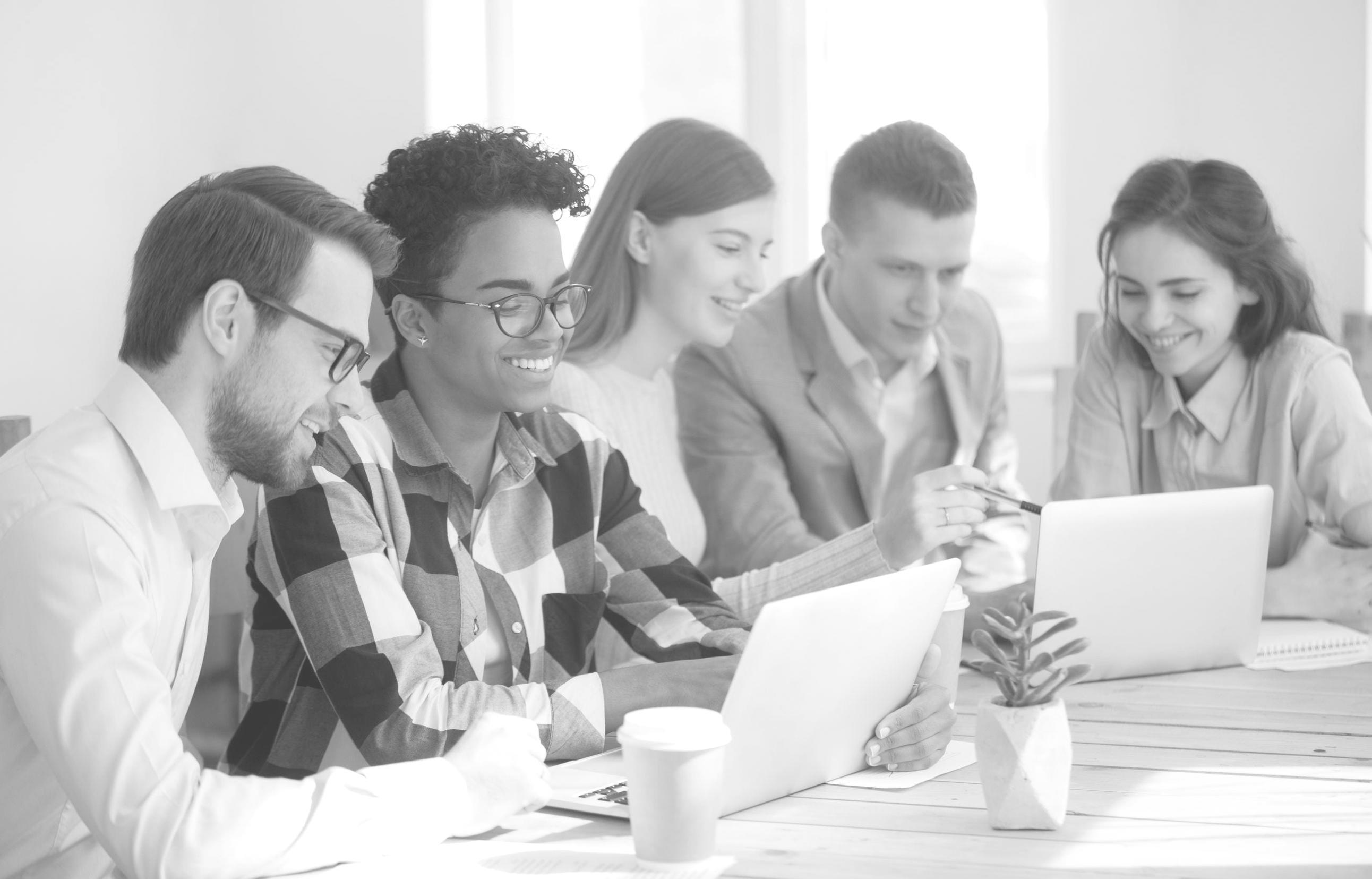 Interactive seminar session with participants learning SEO software tools